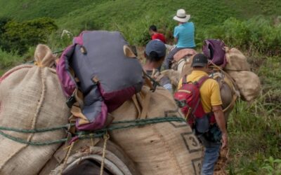 A Neiva llegaron en este 2024, 854 víctimas de la violencia