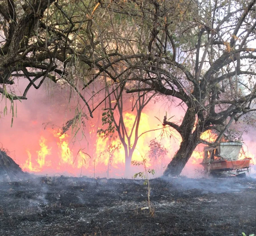 Incendios forestales tienen en ‘jaque’ al Huila