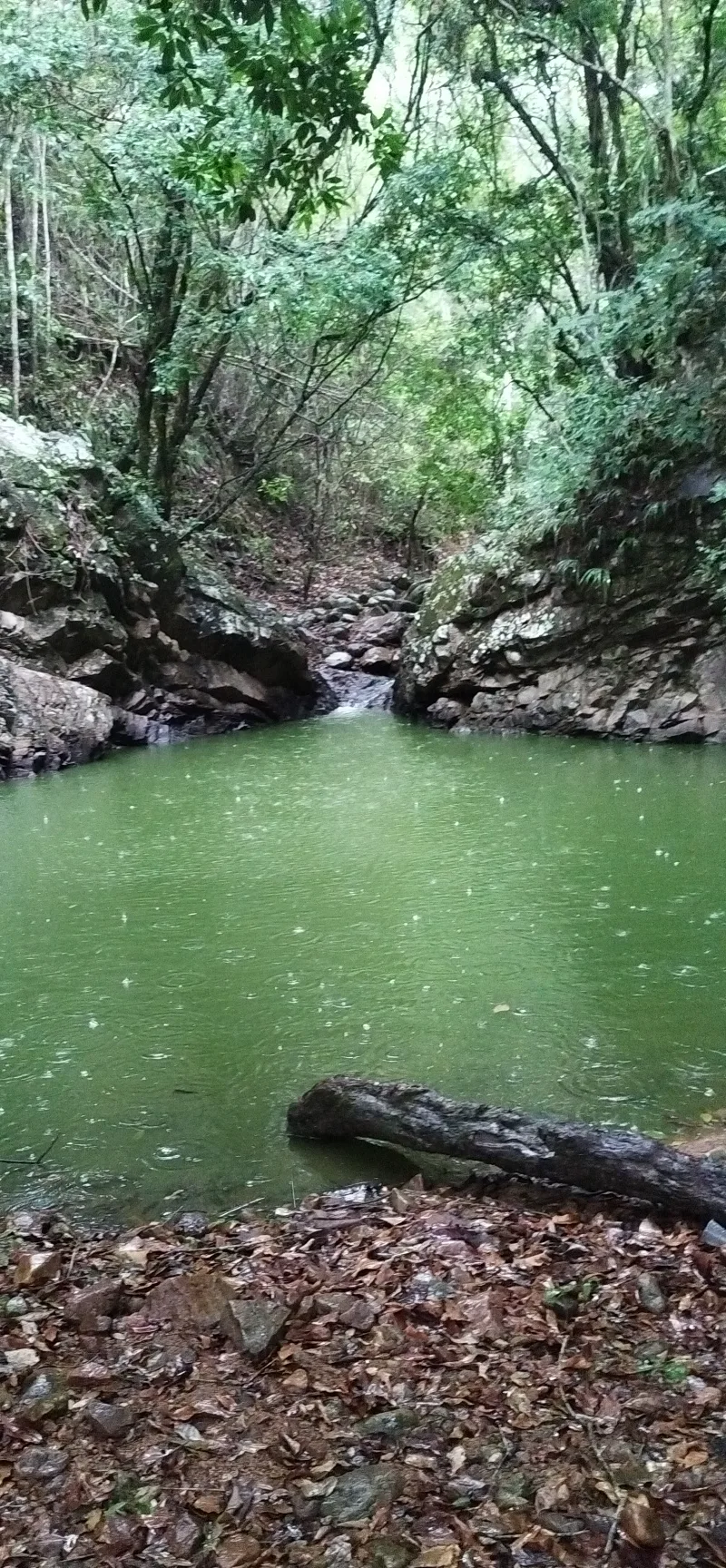 Quebrada El Neme en Teruel, está ‘muriendo’ por contaminación piscícola