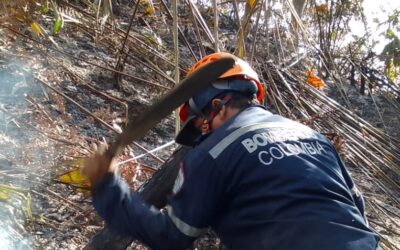 ¡Hobo, Agrado y Pital sin bomberos!