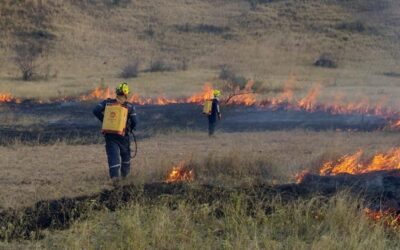 El impacto ambiental de los incendios forestales en Neiva