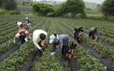 La economía colombiana creció un 2,02% en agosto