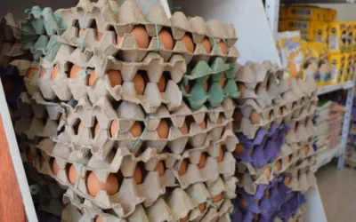 ‘Bajonazo’ en el precio del huevo impacta a productores en el Huila