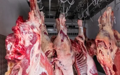 ¿Por qué es costosa la carne en Colombia?