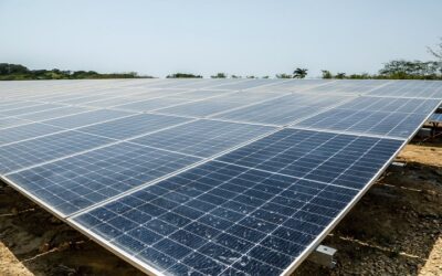Inaugurada la granja solar de la refinería de Cartagena