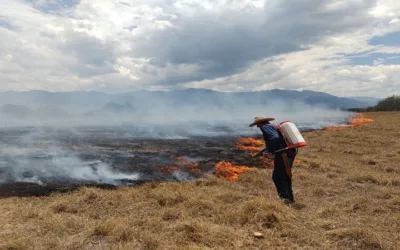 Incendios en el Huila han consumido 300 hectáreas