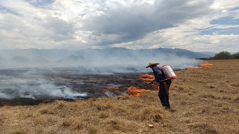 Incendios en el Huila han consumido 300 hectáreas