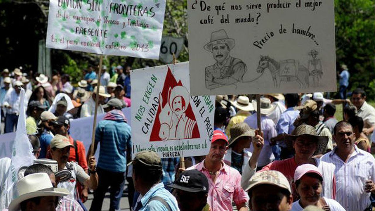 Cafeteros del norte del Huila deciden no unirse al paro nacional