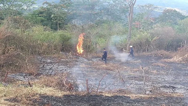 Más de 30 eventos de cobertura vegetal se han registrado en el Huila