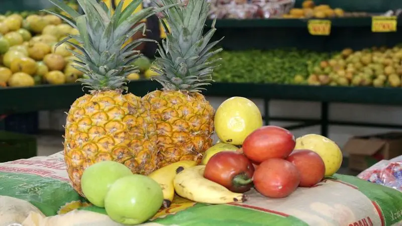Cadena frutícola aporta el 25% de la producción agrícola del departamento