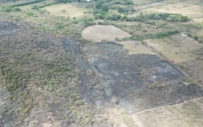 Incendio consumió 416 hectáreas en el resguardo indígena La Gabriela