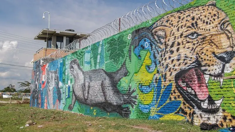Pintan el mural más grande de fauna silvestre de Colombia