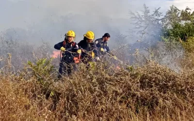 ¡Colombia declara estado de desastre natural por incendios!