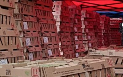 Colombia exporta cuatro millones de pollitos a Venezuela