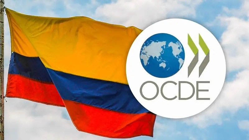 Colombia ocupa el último lugar en ranking de sistemas tributarios de la OCDE