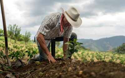 Solo el 12% de la tierra en Colombia pertenece a los campesinos
