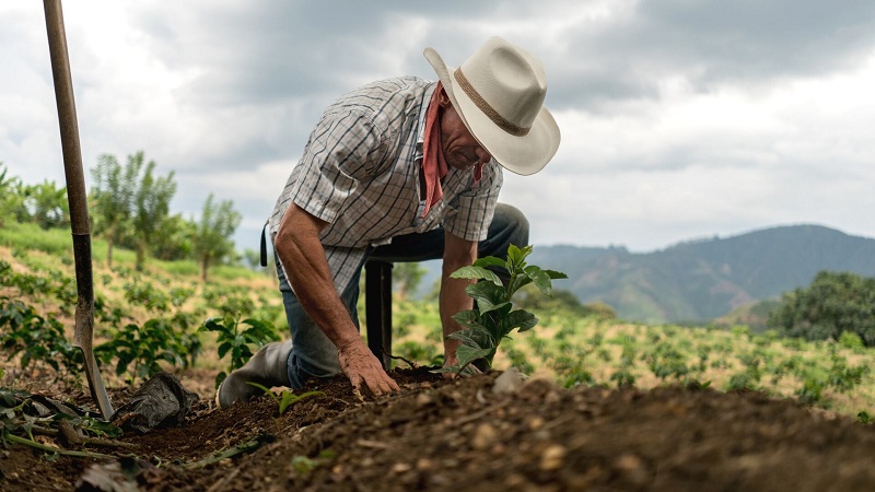Solo el 12% de la tierra en Colombia pertenece a los campesinos