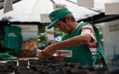 La mayoría de trabajadores independientes en Colombia son mayores de 60 años