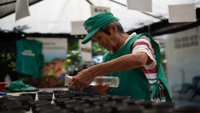 La mayoría de trabajadores independientes en Colombia son mayores de 60 años