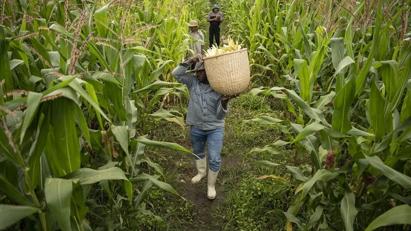 Tendencias de la Seguridad Alimentaria en 2024 y más allá