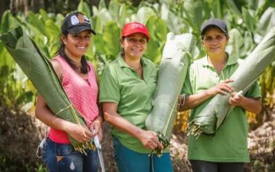 Fondo para la mujer rural recibirá una inyección de $200.000 millones para impulsar proyectos productivos