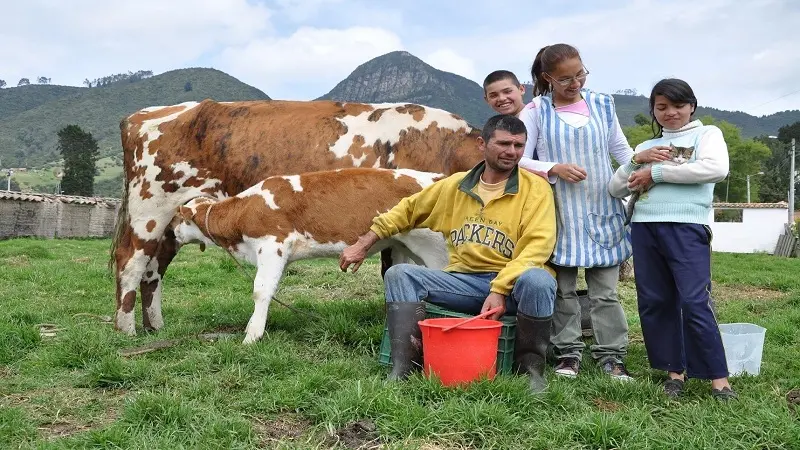 Fundagan logró recaudar 1.606 vacas para población vulnerable en el campo