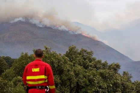 Fuego deja decenas de animales carbonizados en Sierra Bermeja