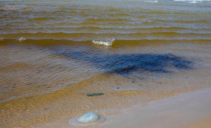 Un vertido de crudo en el mar Negro contamina 80 kilómetros cuadrados