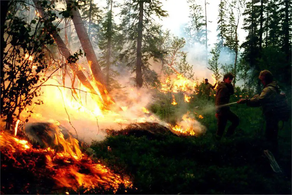 Más de un millón de hectáreas arden por incendios forestales en Rusia