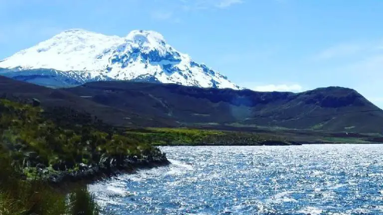 Ecuador crea el Parque Nacional Antisana, refugio del cóndor andino