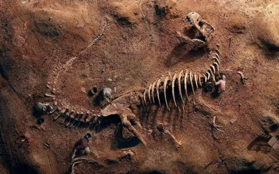Fósiles de cuatro tipos de dinosaurios fueron hallados en Chile