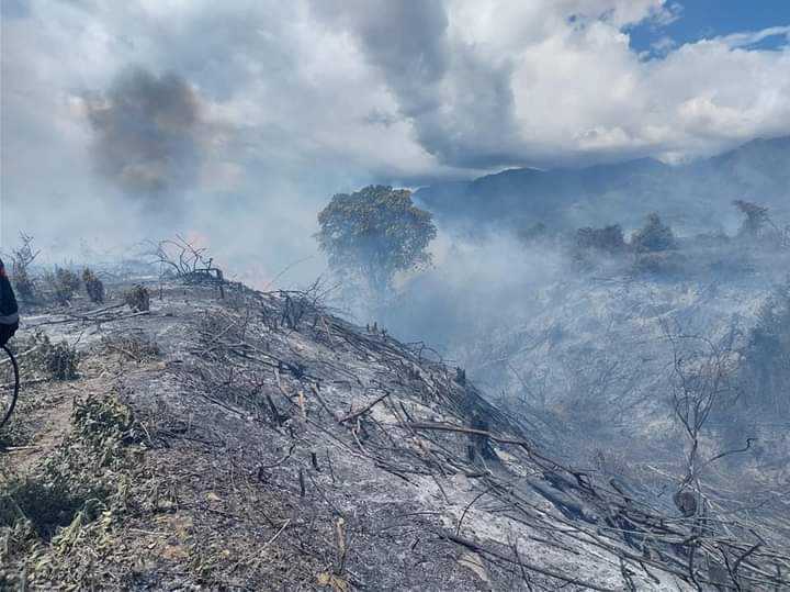 CAM multará a quienes provoquen incendios forestales en el Huila