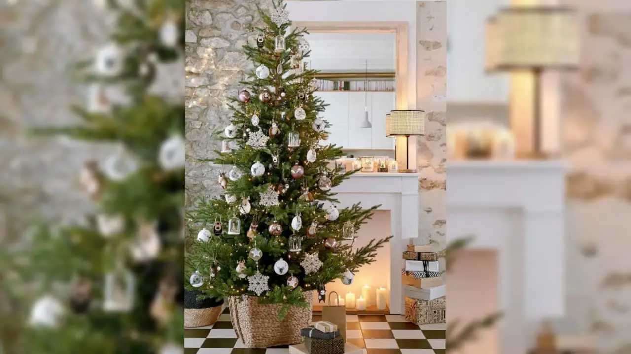 Tipos de árboles de Navidad: ¿cuál es el mejor estilo?