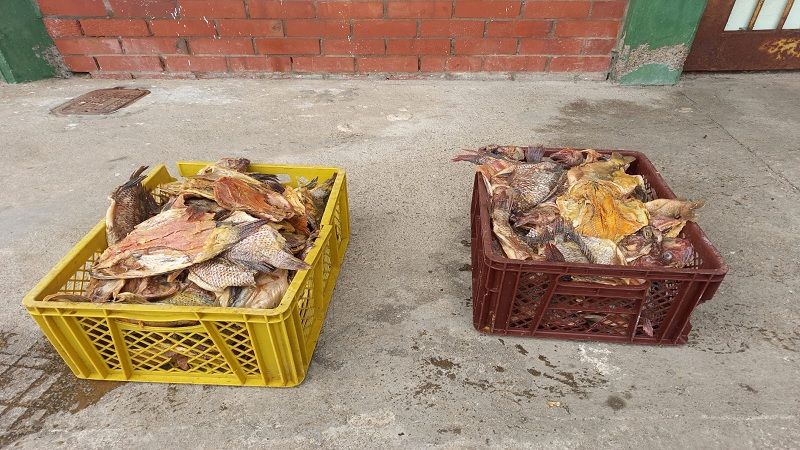 Incautaron  40 kilos de pescado en Neiva