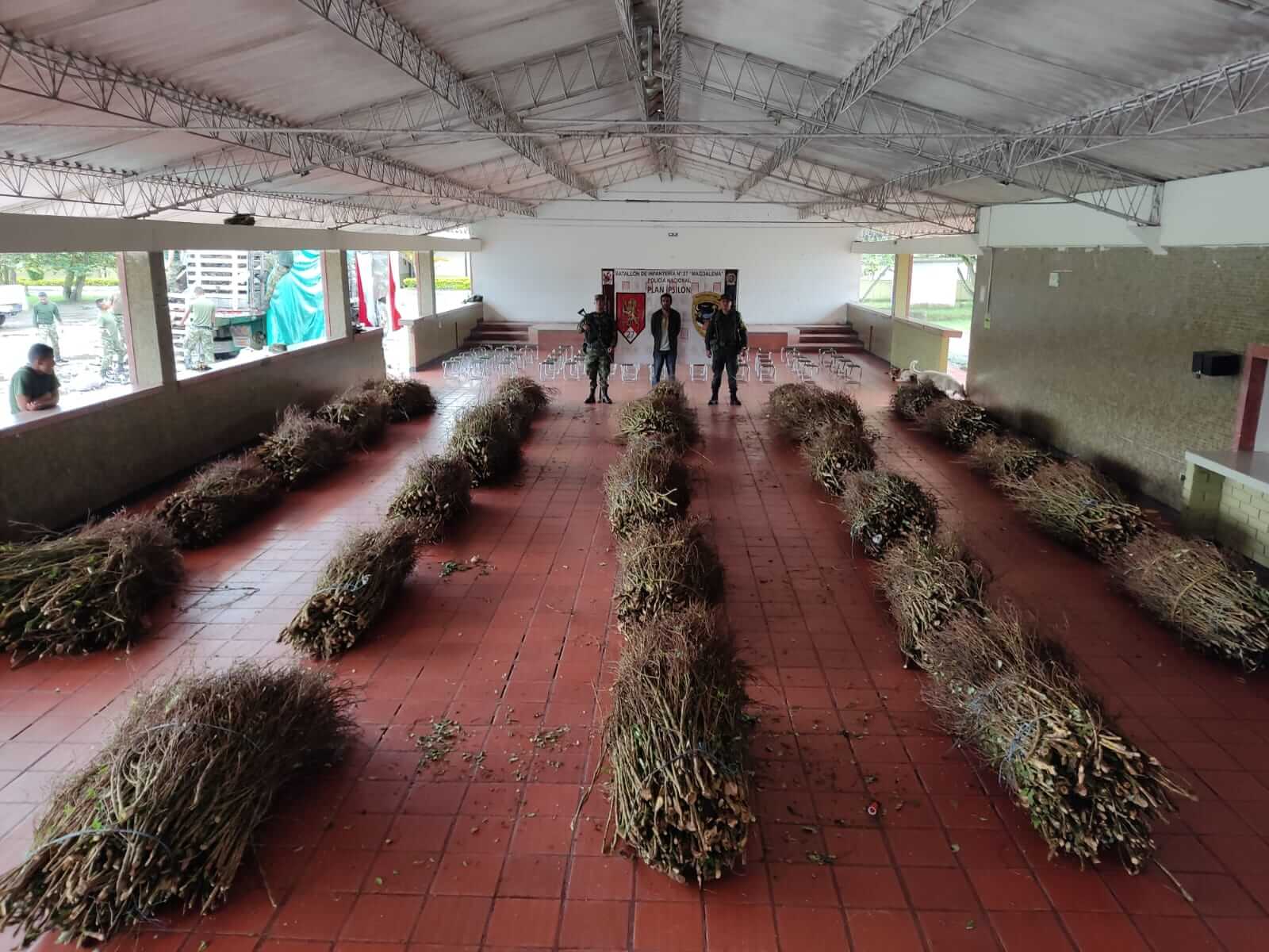 Incautaron 6 mil ramas de mata de coca en Pitalito
