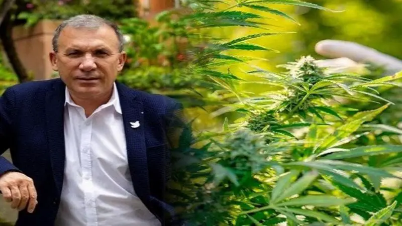 “El Congreso avanzará en la despenalización total de los usos del cannabis”: Roy Barreras