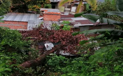 Lluvias en Neiva dejan inundaciones y caída de árboles