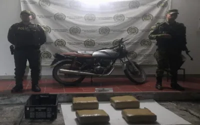 20.500 dosis de marihuana incautadas en El Pital