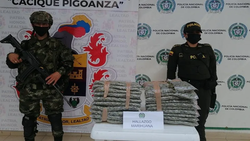 Incautan marihuana avaluada en $10 millones  