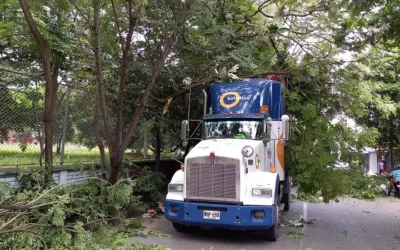 Camión de carga pesada arrancó un árbol en el norte de Neiva