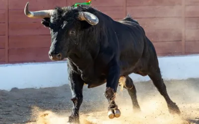 Se hundió proyecto que prohibiría corridas de toros en el país
