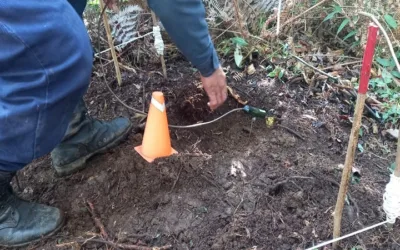 Destruyen dos minas antipersona en el norte del Huila