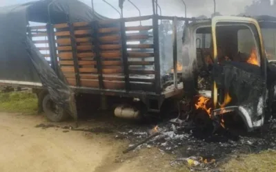 Disidencias incineran camión de desminado humanitario en Baraya