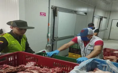Incautan más de 750 kilos de carne de cerdo en condiciones no aptas para el consumo