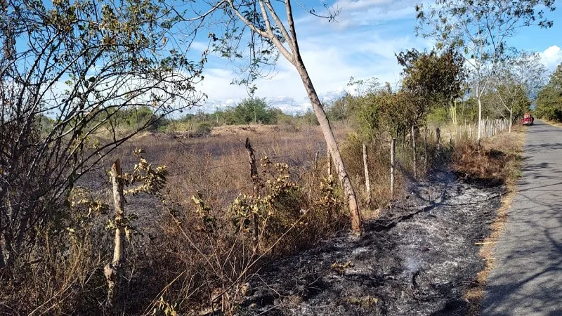 Segunda temporada seca del año registra 7 incendios forestales en el Huila