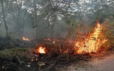 Neiva en alerta por incendios forestales debido al Fenómeno de El Niño