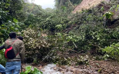 Lluvias generan deslizamientos y otras emergencias en el Huila