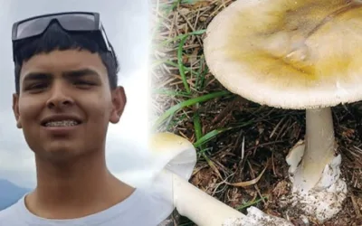 Joven perdió la vida tras ingerir un hongo venenoso en Saladoblanco, Huila