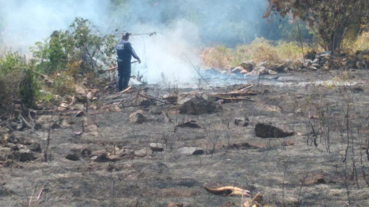 Incendios forestales en el Huila no dan tregua