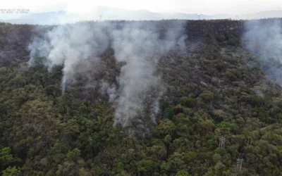Incendio en zona rural de Palermo, Huila, consumió 300 hectáreas de cobertura vegetal  